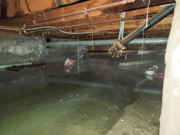 Best Water damage restoration near me  in Kennewick, WA
