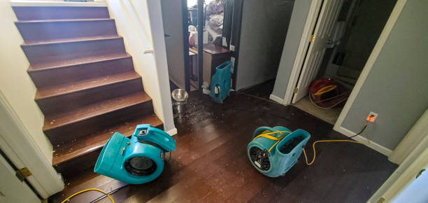 24/7 water damage repair in WA