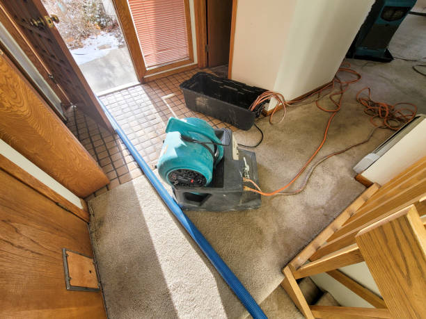 Best Residential water damage restoration  in Kennewick, WA