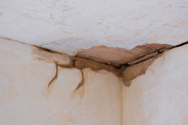 Best Basement water damage restoration  in Kennewick, WA