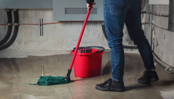 Best Mold removal after water damage  in Kennewick, WA
