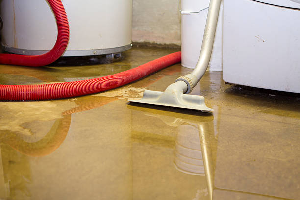 Best Water damage repair service  in Kennewick, WA
