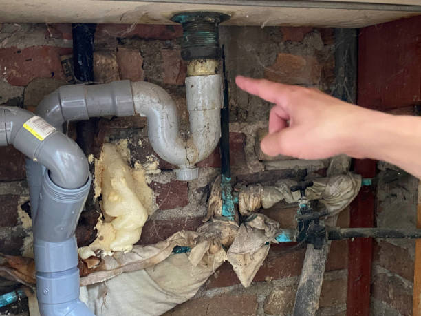 Best Carpet water damage restoration  in Kennewick, WA