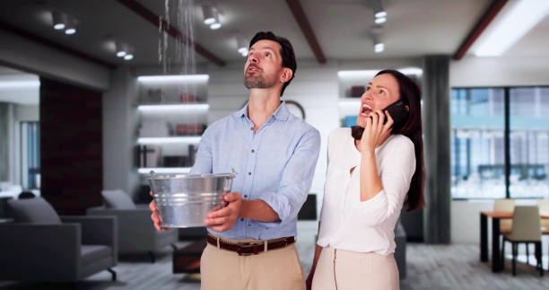 Best Professional water damage repair  in Kennewick, WA