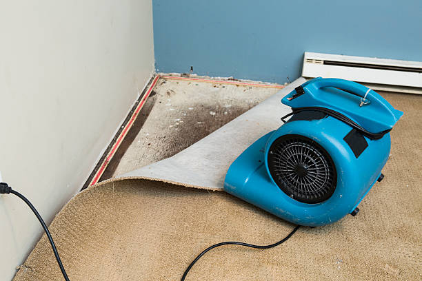 Best 24-hour water damage restoration  in Kennewick, WA